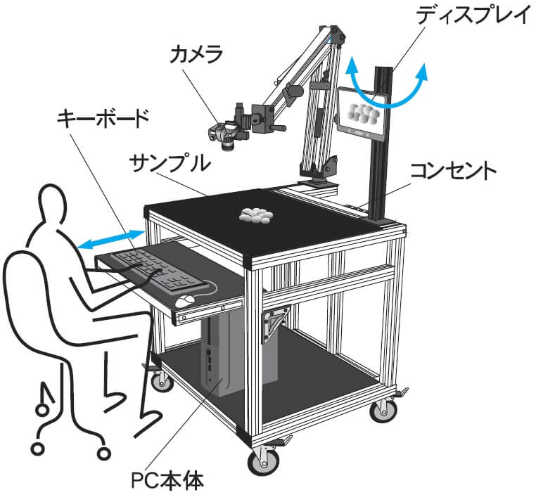 動き